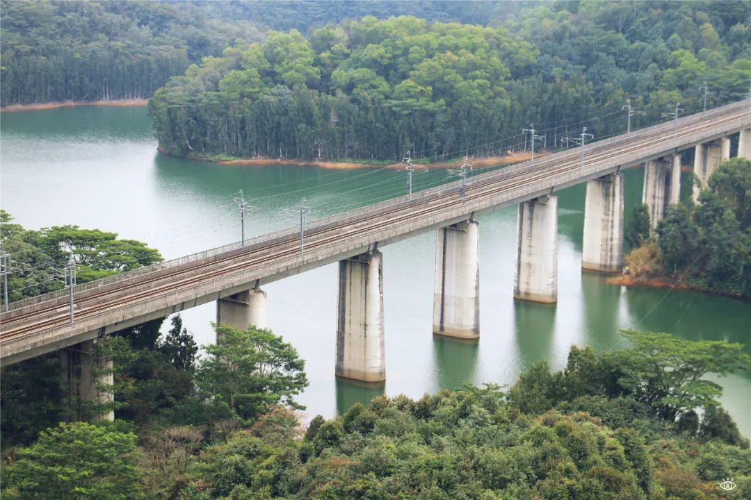 深圳周末带孩子免费游玩好去处,周末去哪玩推荐深圳