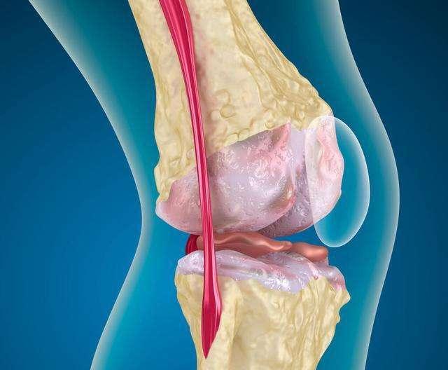 喝牛奶与不喝牛奶的老人有何差别,喝牛奶与不喝牛奶的老人有何区别