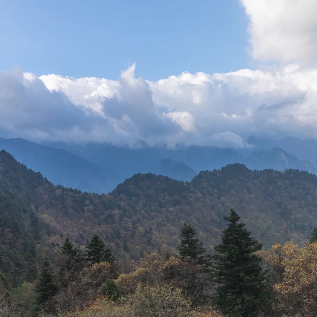 太白山是陕西最高点吗,秦岭最高峰太白山