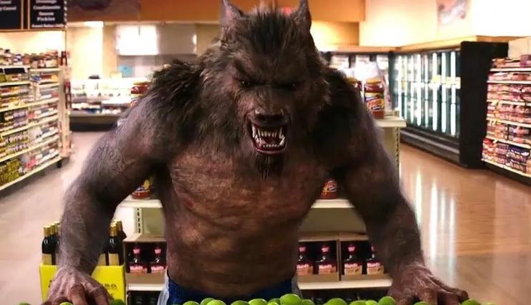 美国动物园偶遇狼人,美国哪个动物园有狼人