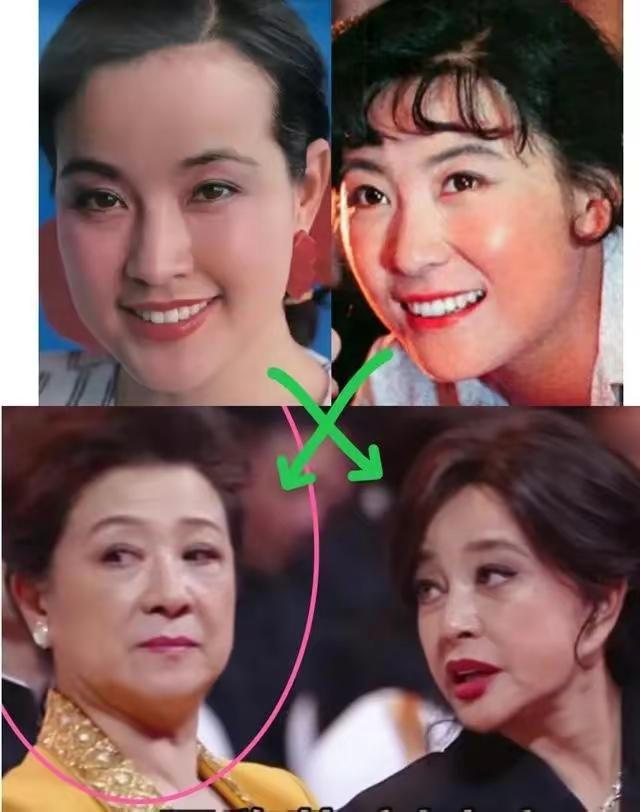 叶童和赵雅芝对比图片,赵雅芝和叶童的绝美瞬间