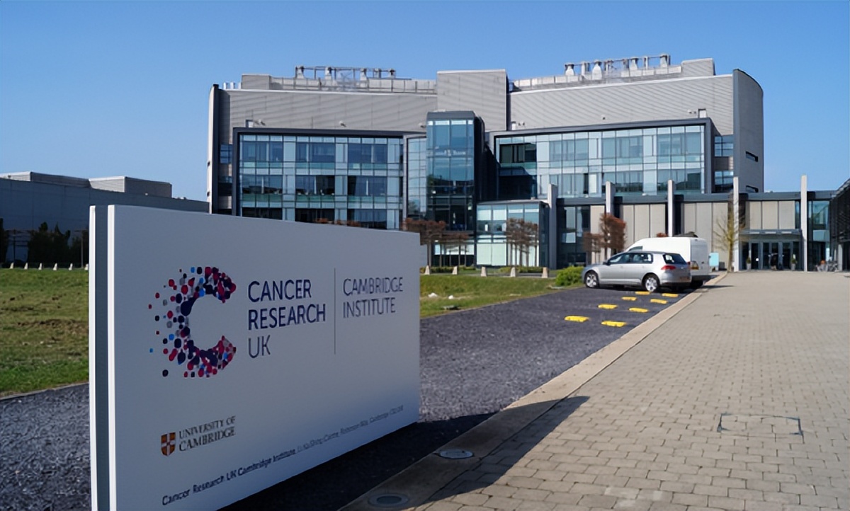 多位国外肿瘤大咖齐来支招,中国教授团队发现肿瘤治疗新策略