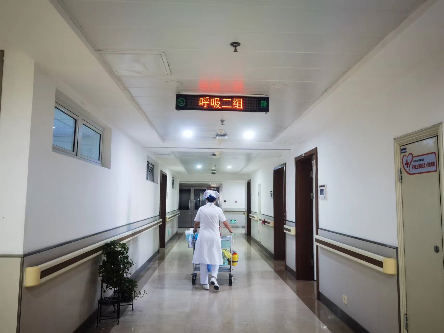 人间有爱暖心一幕轮椅,人间温暖无处不在感动瞬间