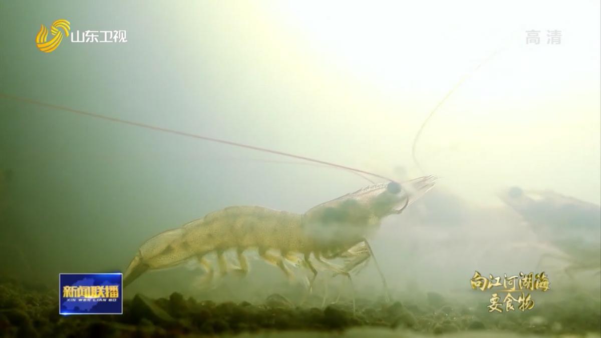也是有故事的“鱼虾蟹”，看山东怎样向江河湖海要食物