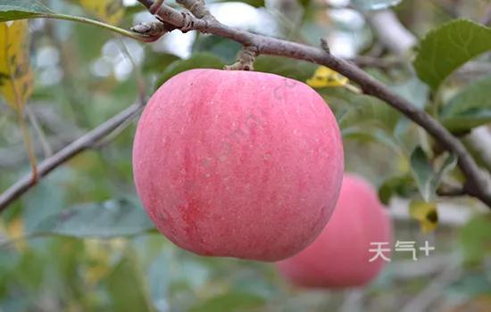 13岁女儿患重度抑郁症怎么办,13岁女儿重度抑郁症该怎么办