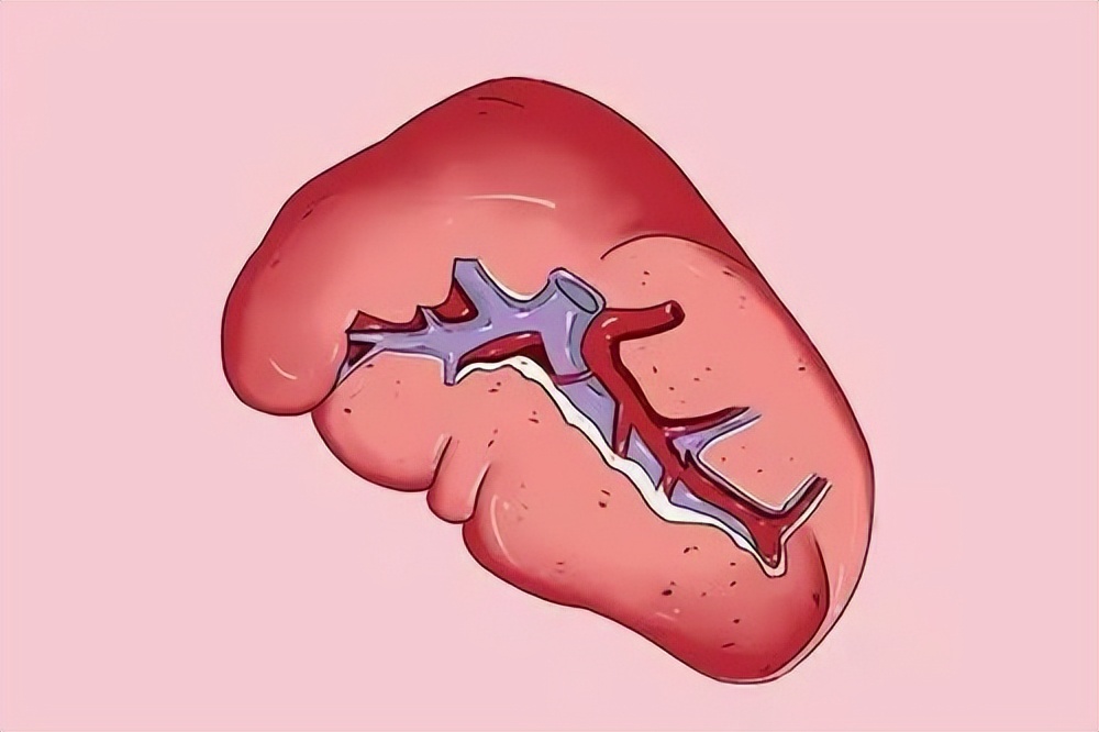 五脏好不好看看脸色就知道,五脏生病看脸就知道