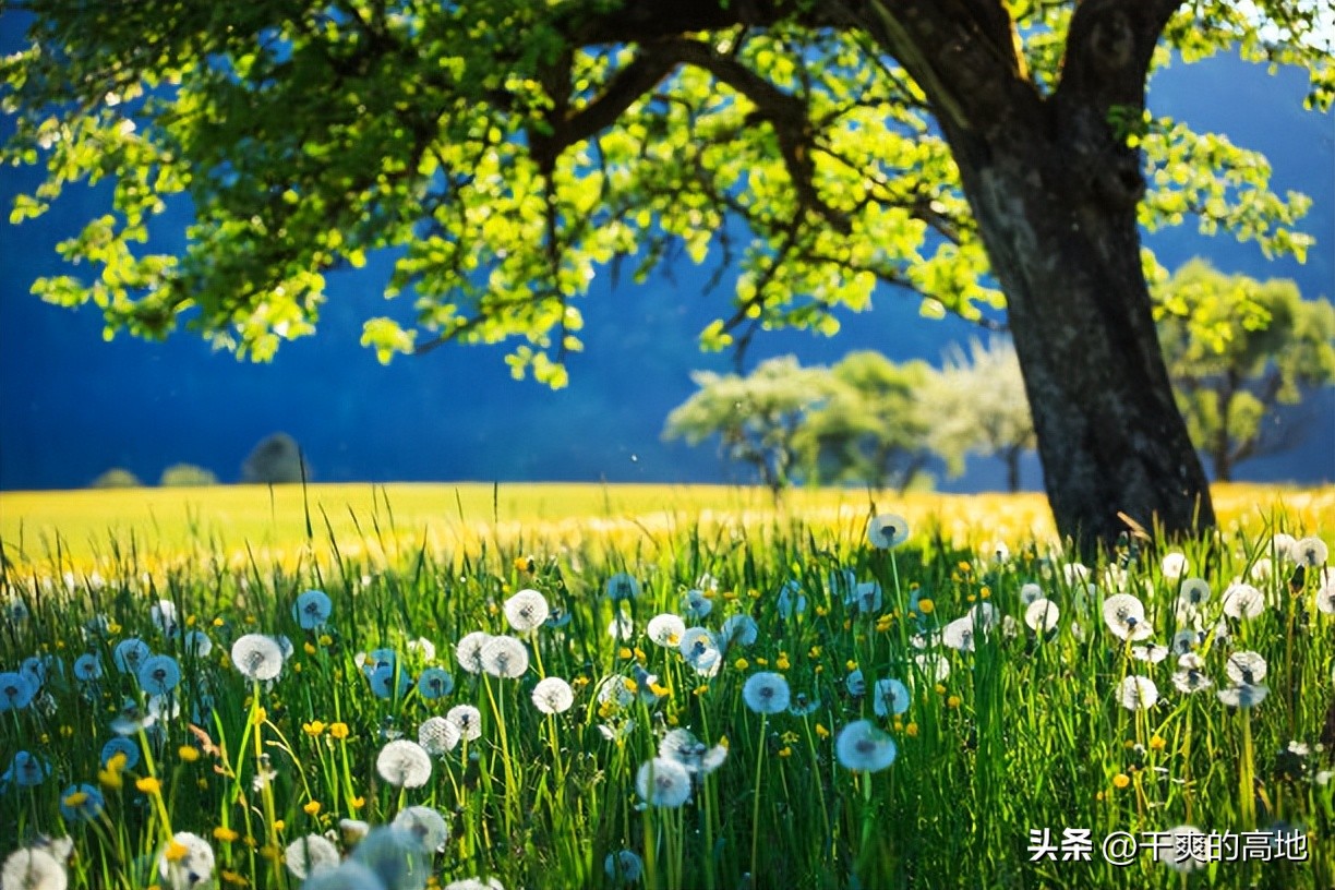 散文|王磊斌:外婆山