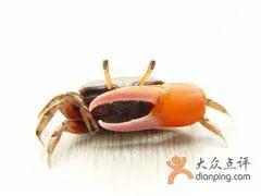 怀念90年代的回忆,80年代90年代满满的回忆