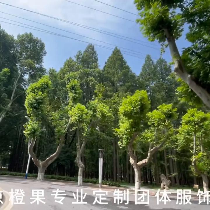 鍗椾含姗欐灉涓撲笟瀹氬埗鍥綋鏈嶉グ,鍗椾含姗欐灉鏈嶉グ鏈夐檺鍏徃