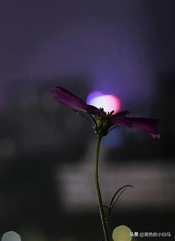 美丽的神话,美丽的手指照片