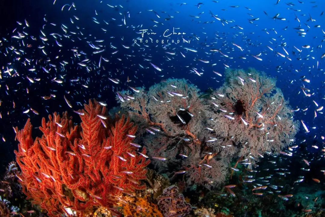 海陆空震撼炫酷视频,海陆空的全线飙战看得直呼过瘾