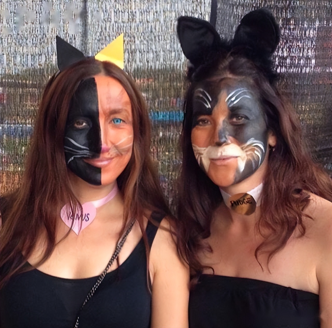 中国猫咪品种玳瑁猫,田园玳瑁猫的嘴