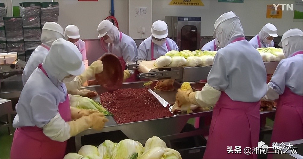 韩国大白菜价飙涨到45元一颗，韩媒：中国产泡菜成救兵