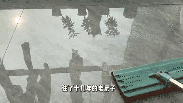 布拖把不粘了怎么办,布拖把掉毛怎么办