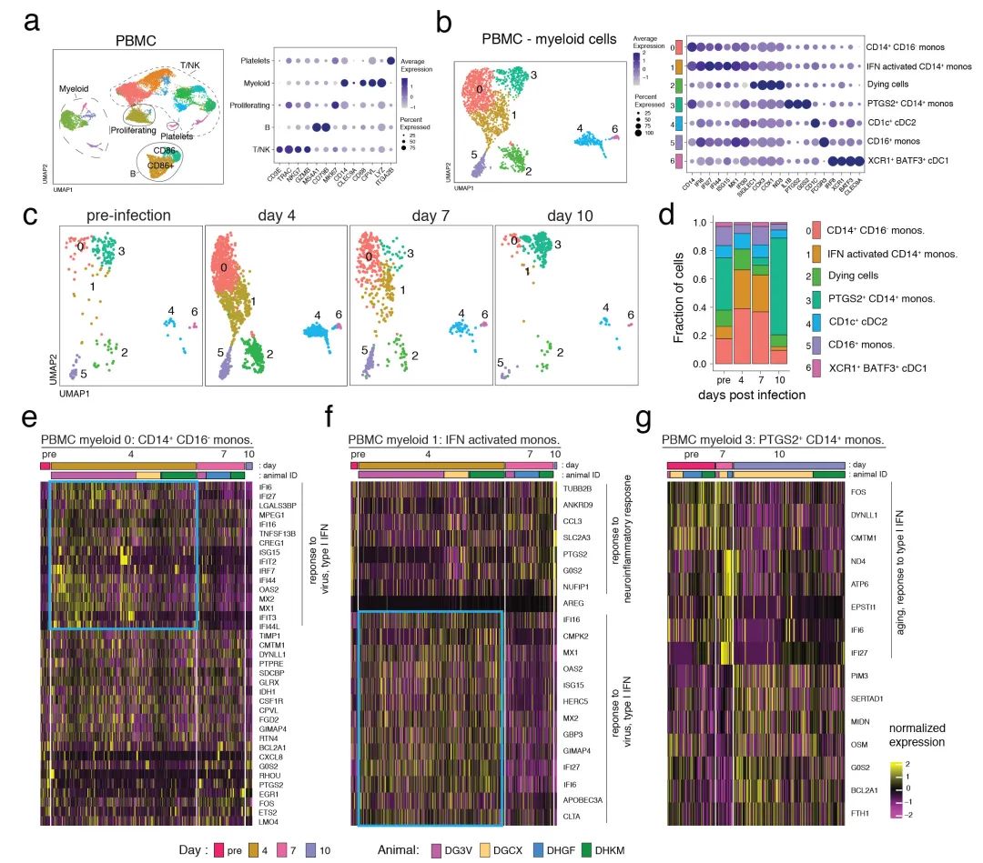 兰大预测本轮疫情将于4月初得到控制，奥密克戎发生多次跨变种基因重组丨新冠研究一周进展