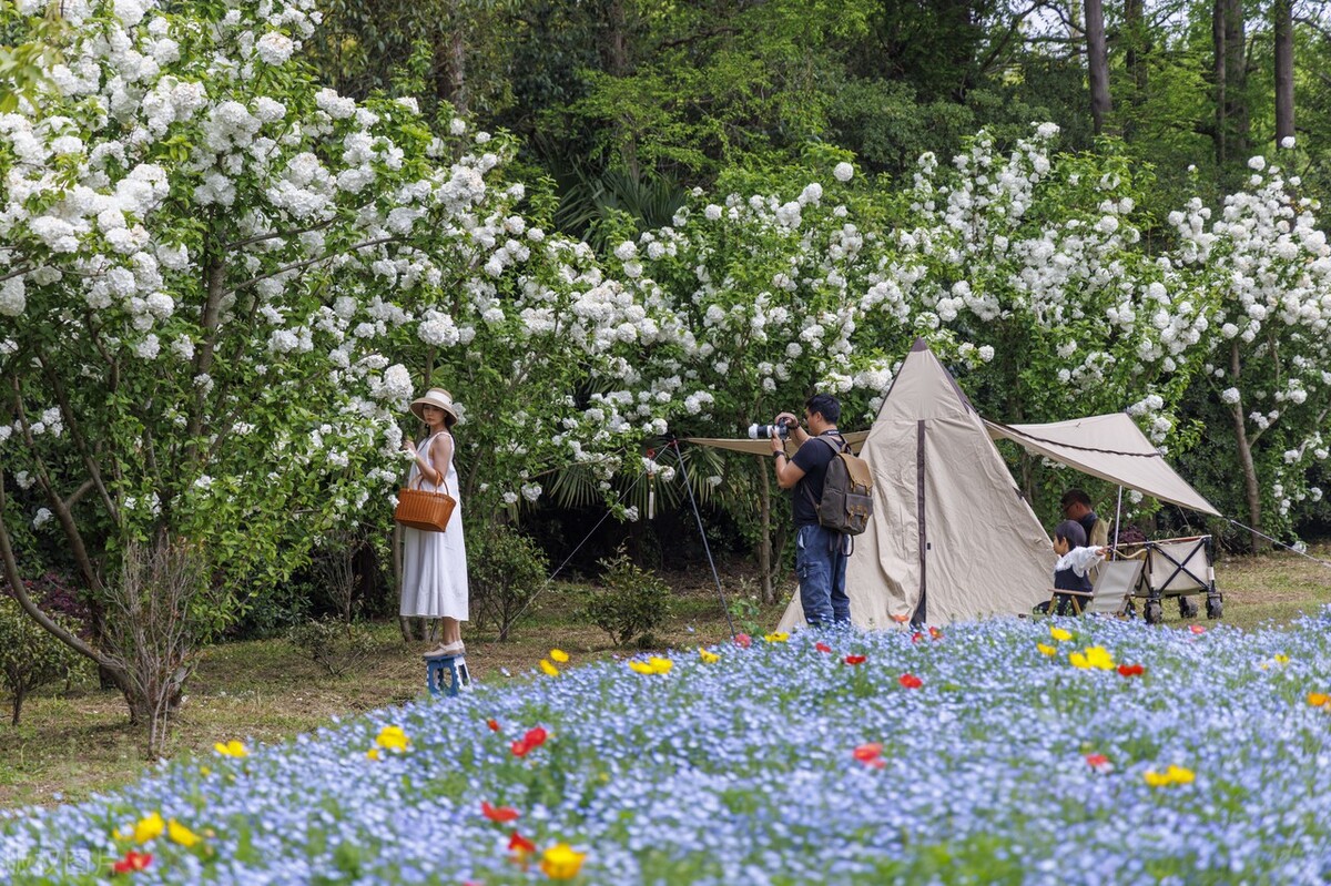 大上海旅游攻略必去景点大全,休息了没事去大上海参观旅游景点