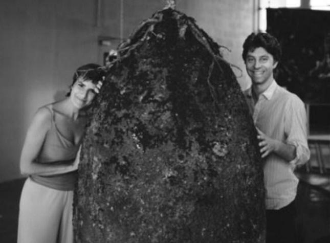 亚马逊发现巨兽是什么动物,亚马逊真实存在巨型生物吗