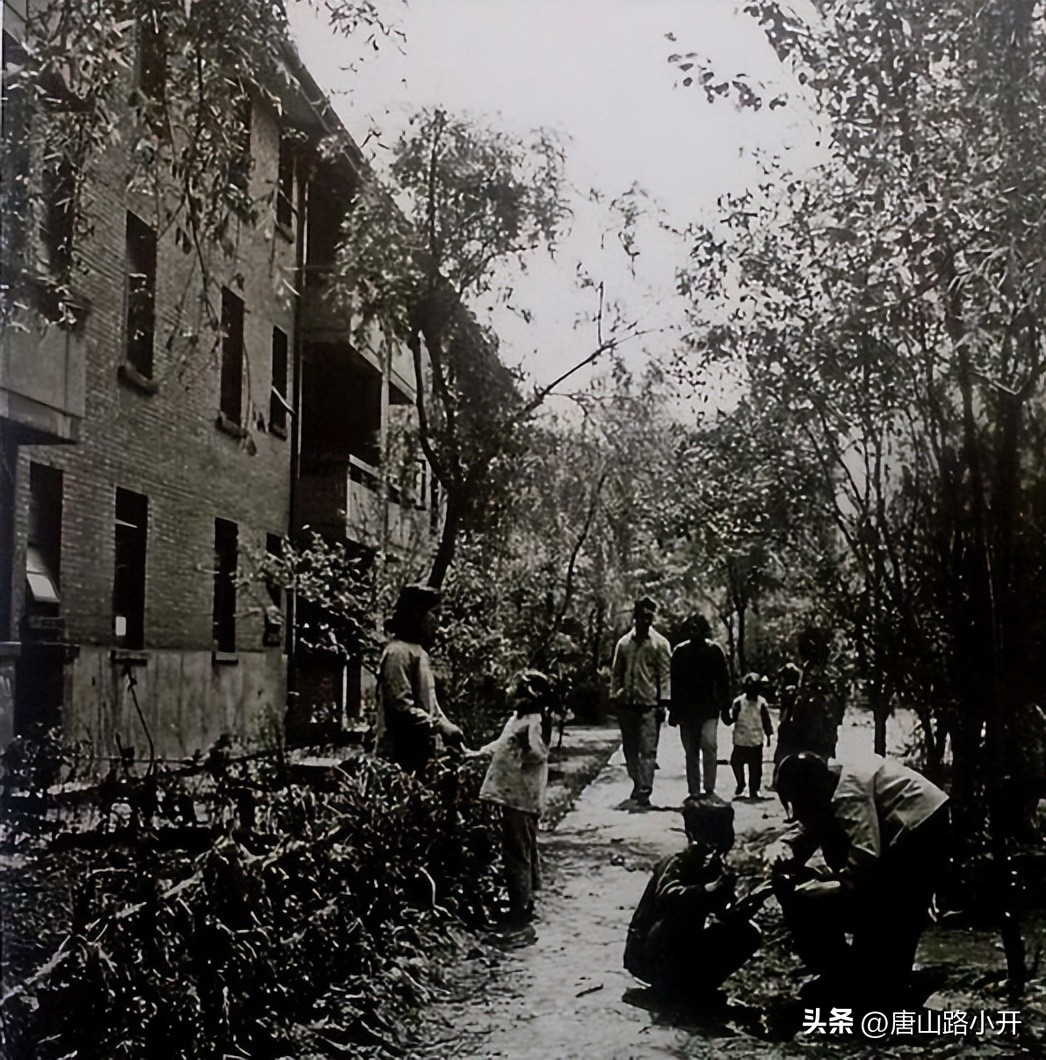 没落的岚皋路大哥