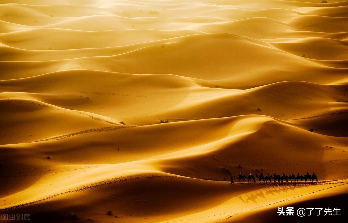 王继琼心理学讲师,王继琼最新视频