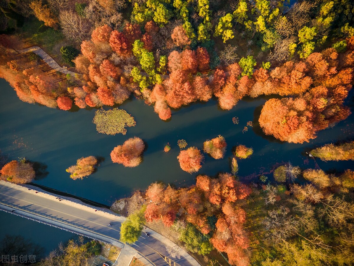 11月份去哪里玩最好玩呢,十一月份秋天适合去哪旅游国内