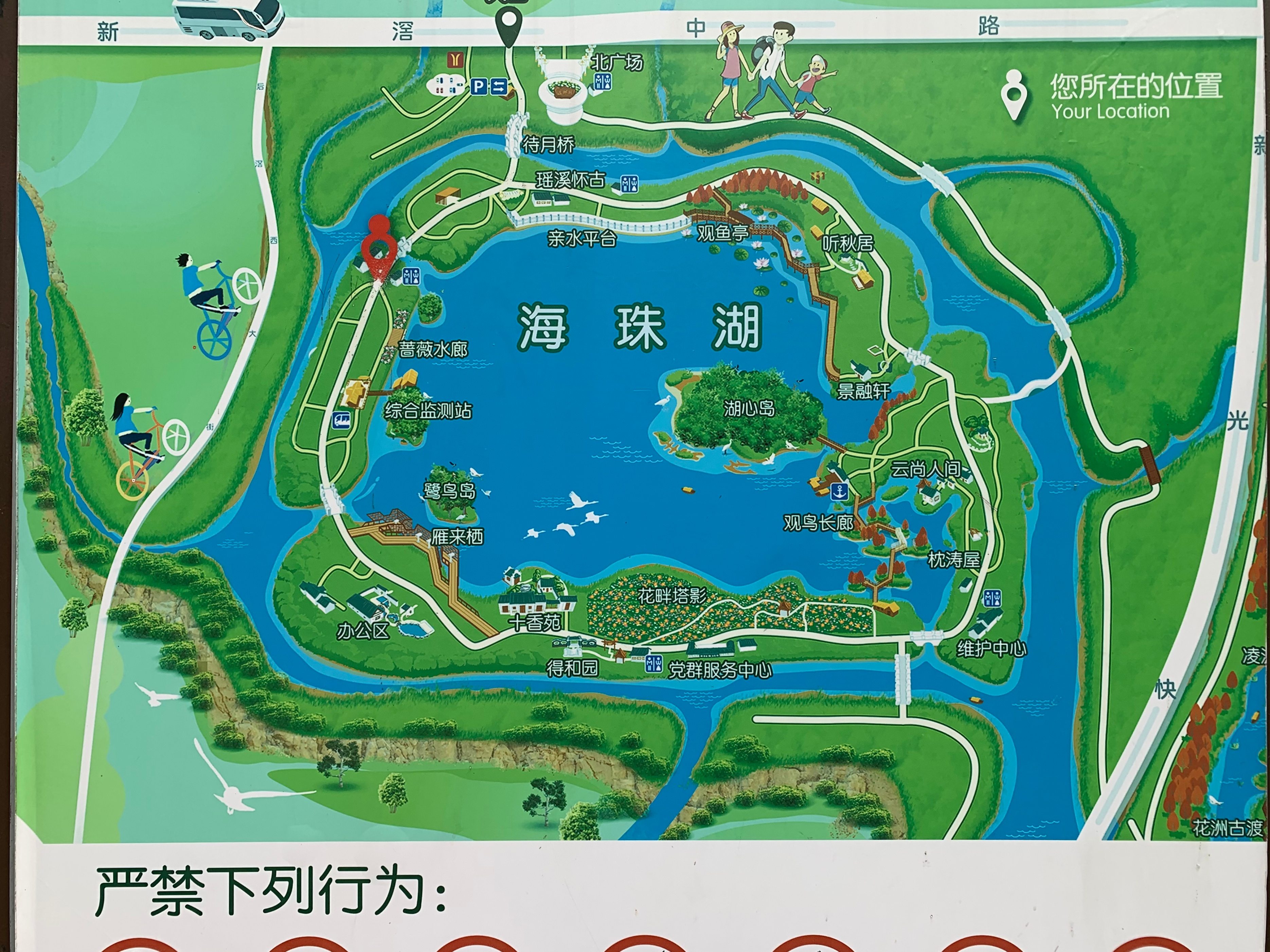 广州海珠湿地公园游玩攻略一日游,海珠湖湿地公园最佳游玩时间