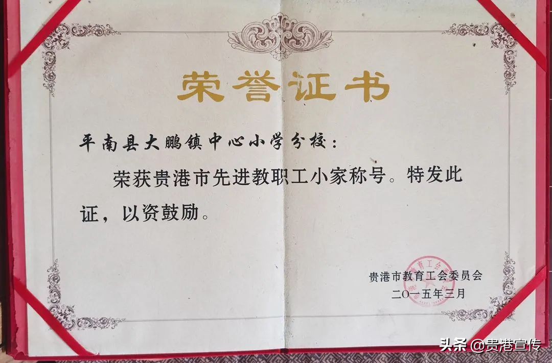 大鹏中心小学温逸宏,大鹏中心小学陈小波