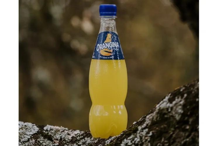 如何迈向“碳中和”？达能、宝洁、蒙牛等20+品牌，带来5大发力点