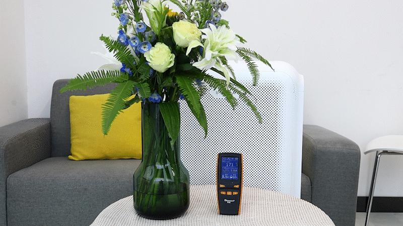 新房如何除甲醛很有必要了解房东,旧房如何除甲醛最有效