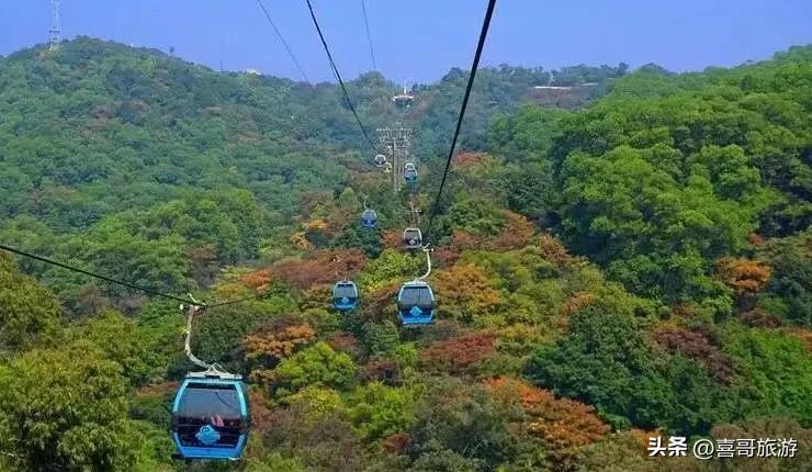 河南白云山景区旅游攻略,白云山旅游攻略梅花谷