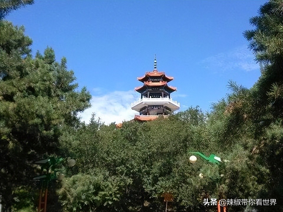 美在黑龙江：走进诗意山水之齐齐哈尔这里是世界大湿地中国鹤家乡