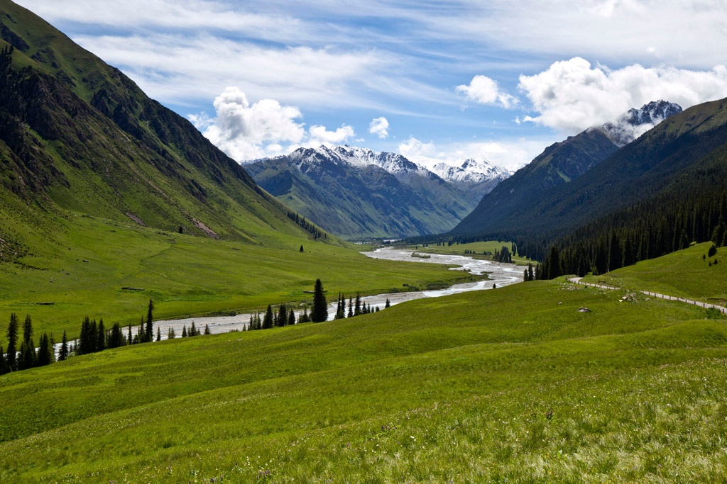 sap系统有必要做吗,sap系统难做吗