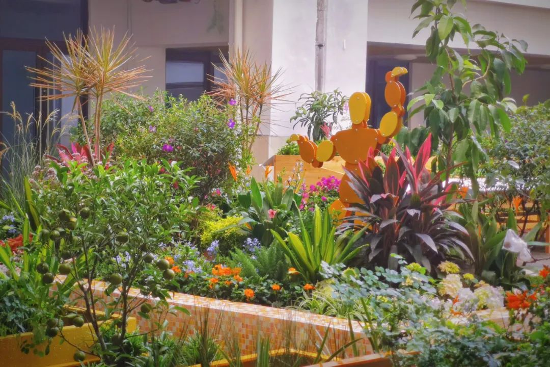 2个北大学霸，在房价10万一平的深圳市中心，造了80座花园