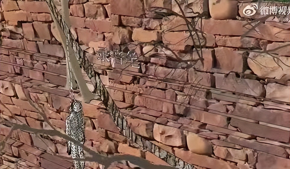 胡鑫宇死亡的真相,胡鑫宇案件真的是自杀吗