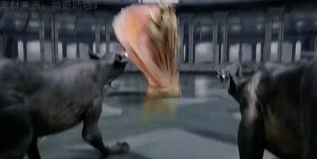 神奇动物3最新上映,神奇动物3电影评价