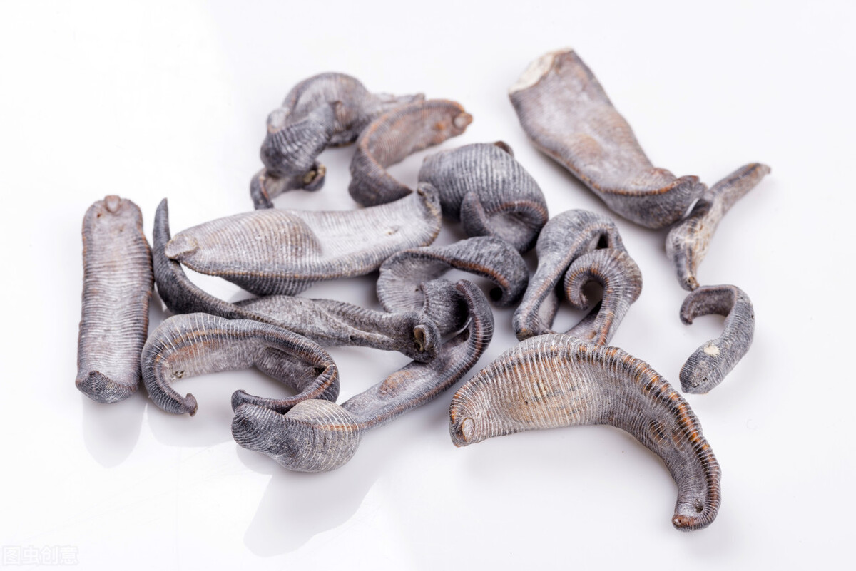 蚂蟥被人吃进去会如何,误食蚂蟥多久会有反应