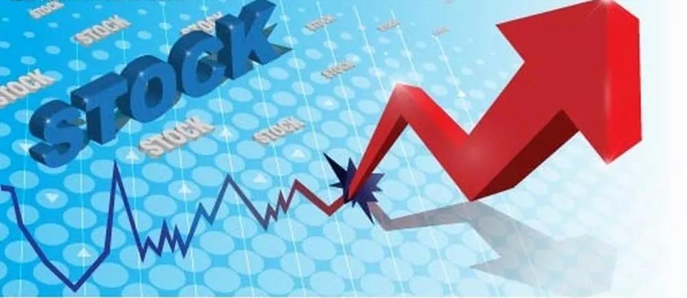 大单净买率什么意思,大单净量是什么意思