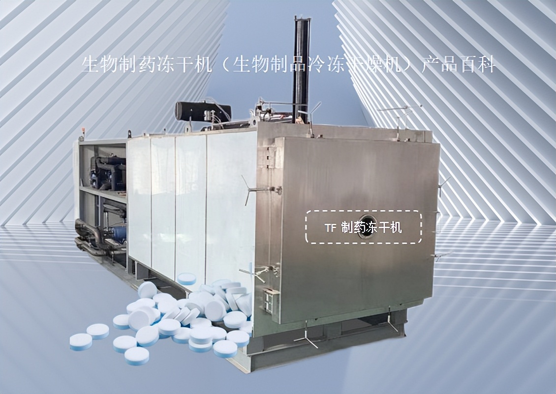 真空冷冻干燥机冻干机,冻干机水果冷冻干燥机