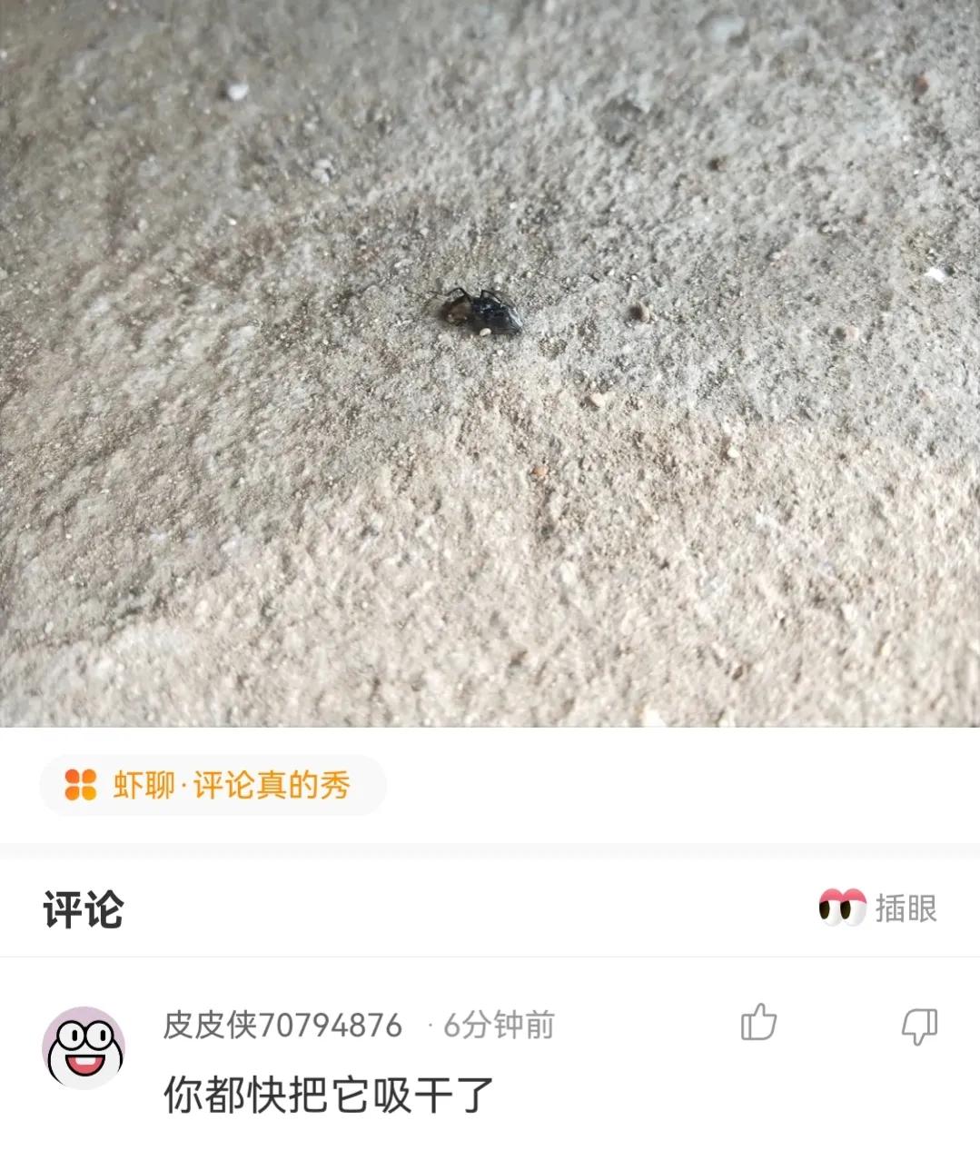 接种疫苗后发现怀孕了能要吗,接种疫苗发现怀孕了能要吗