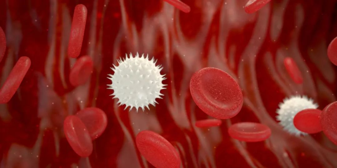 化疗后中性粒细胞低怎么回事啊,化疗五天白细胞16.59中性粒细胞80