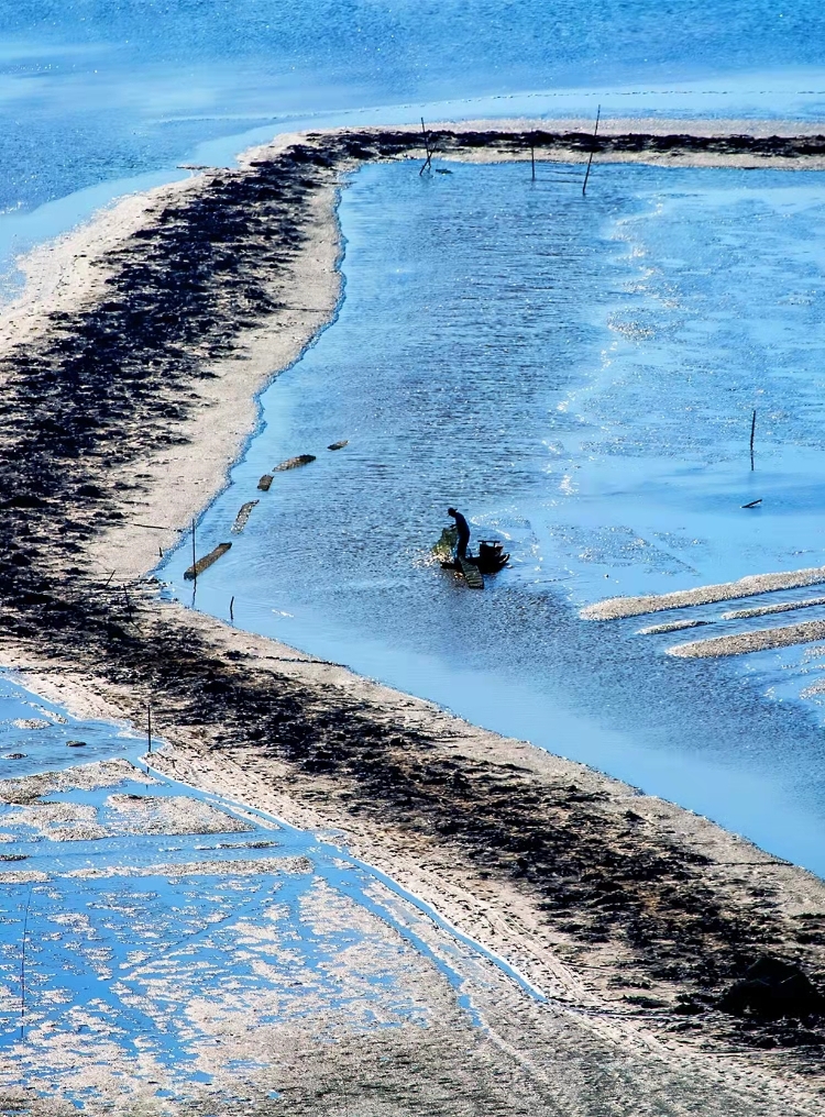 温州一日游必去的地方,温州必去旅游景点有哪些