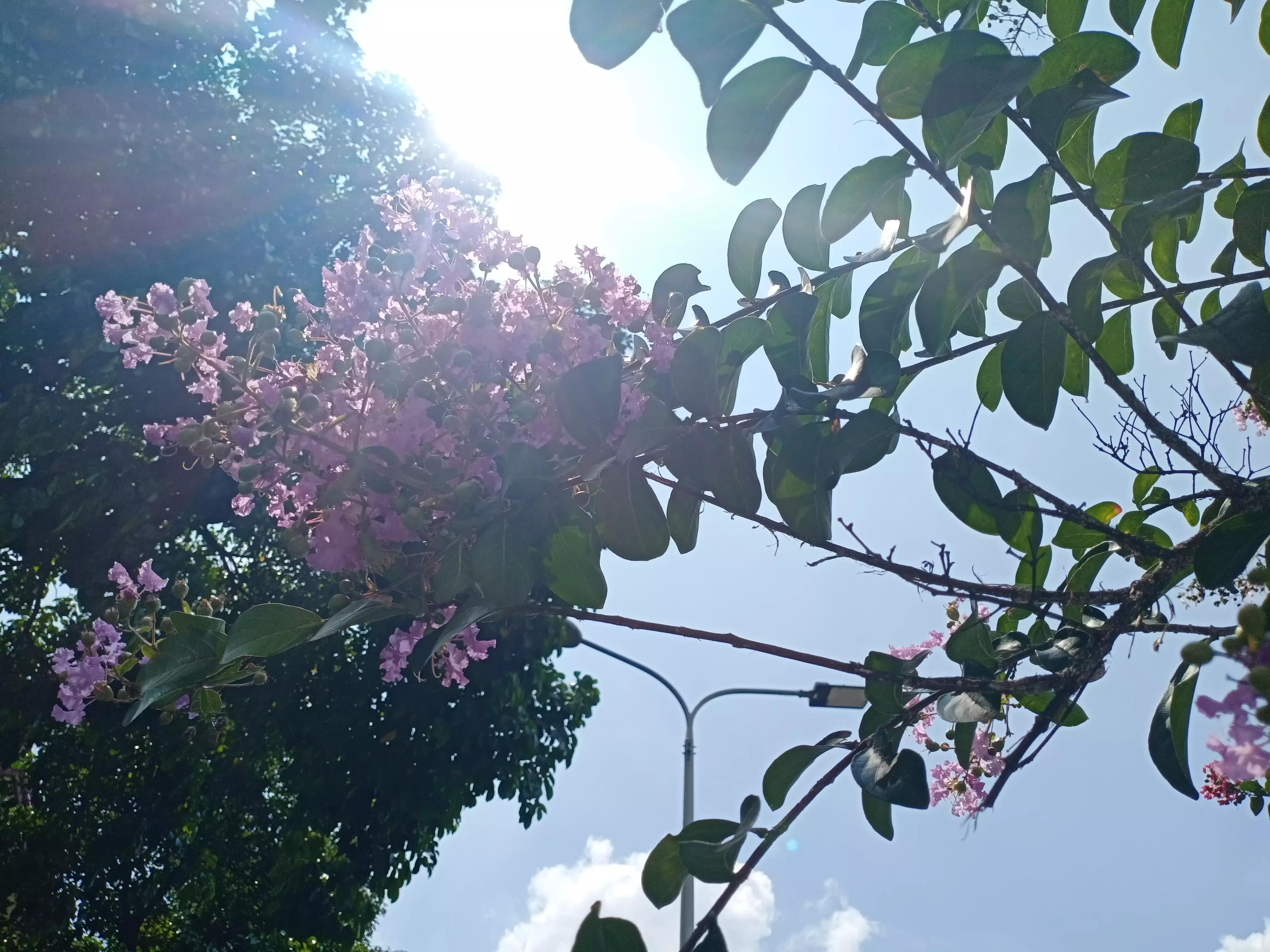 长篇小说连载二十二——风中的女人