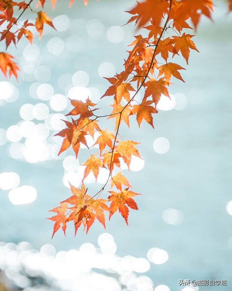 摄影入门教你轻松拍大片,摄影初学学会这几招就能拍美照