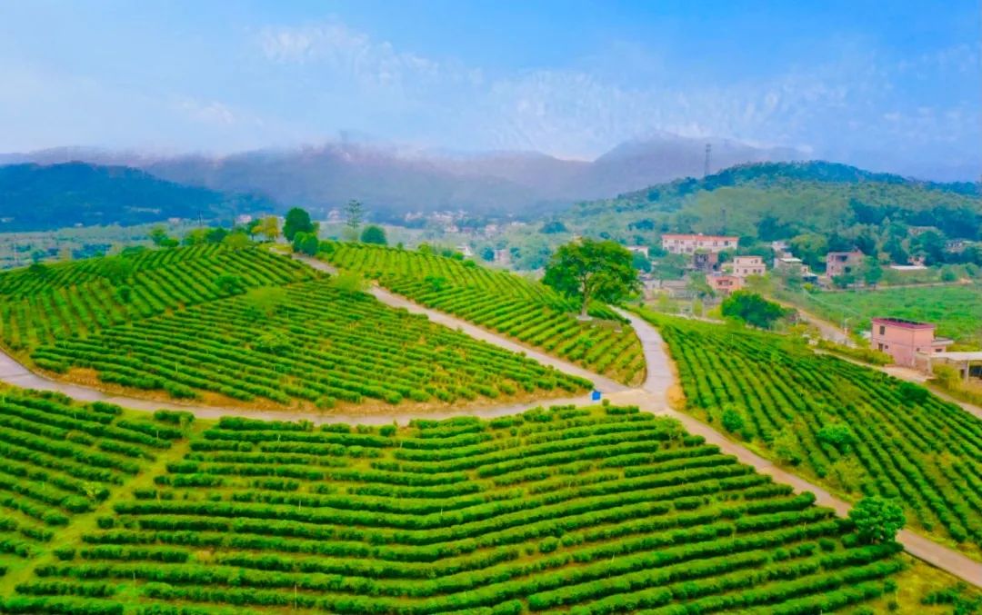 惠州柏塘罗浮山,惠州出发2天一夜旅游攻略图