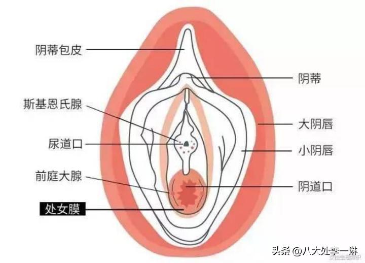 关于处女膜修补的一些问题