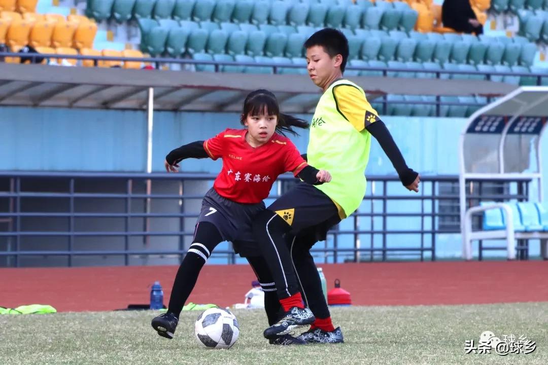 体教融合完善青少年体育赛事体系,体教融合青少年篮球比赛