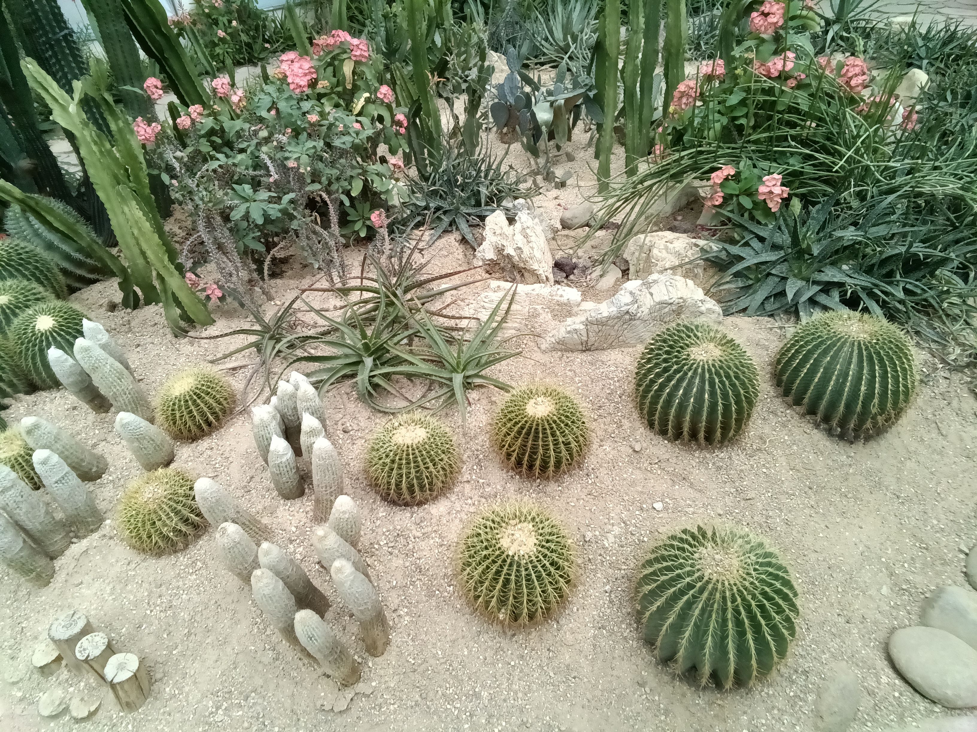 最新多亲qin3ultra测评,多亲qin3pro全面屏游戏测评