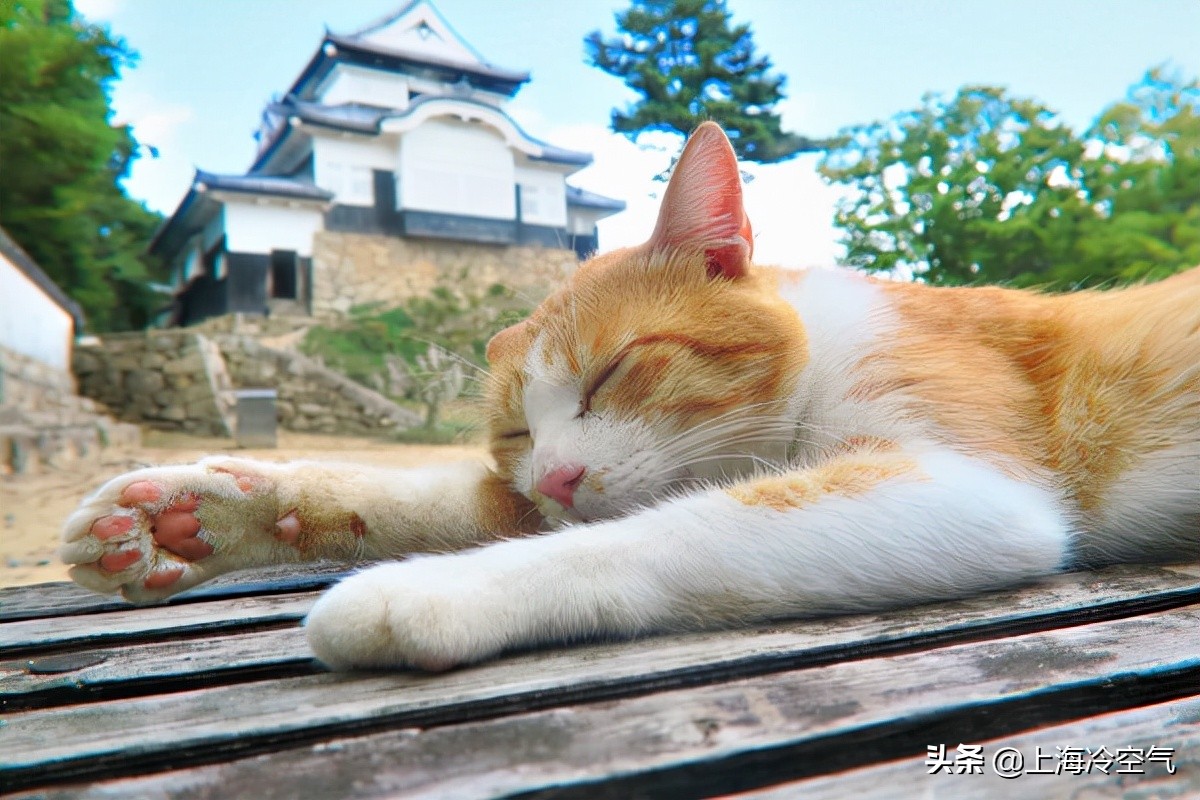 探索不一样的世界,日本小众山阴游玩攻略