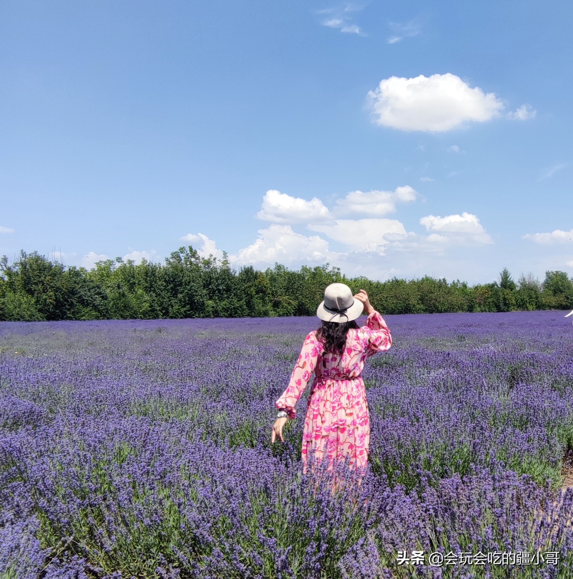 中老年专列旅游,老年人火车专列旅游