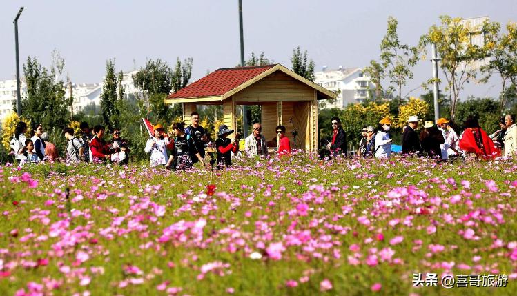 沈阳沈北新区旅游攻略,沈阳旅游沈北新区攻略最新