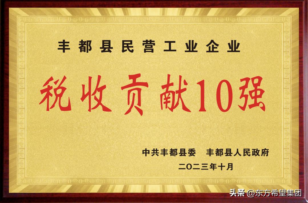 丰都水泥东方希望水泥品牌,东方希望丰都玻纤项目地址